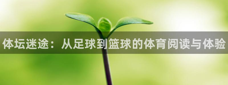 米兰体育官方正版app娱乐40996：体坛迷途：从足