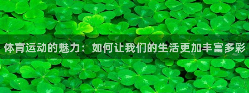 米兰体育官方正版app娱乐40996：体育运动的魅力