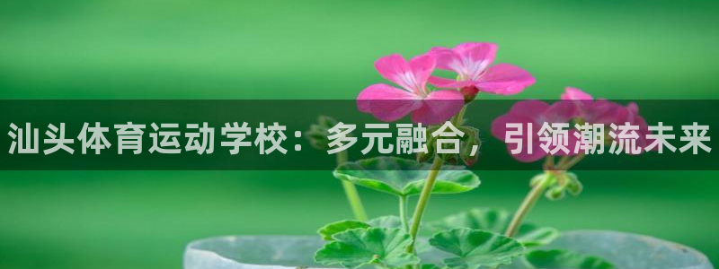 米兰体育官方正版app官方：汕头体育运动学校：多元融