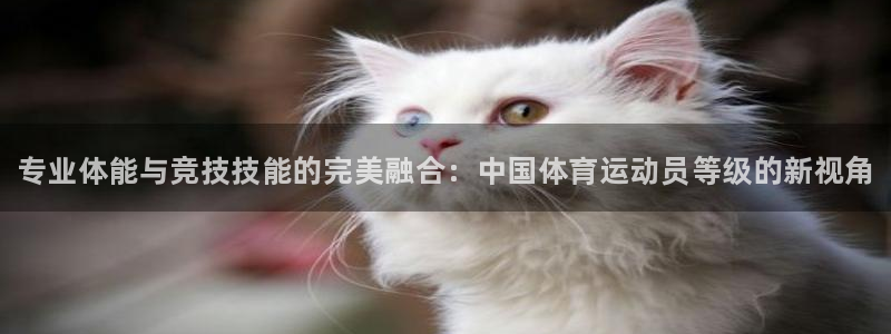海南米兰体育官网下载：专业体能与竞技技能的完美融合：