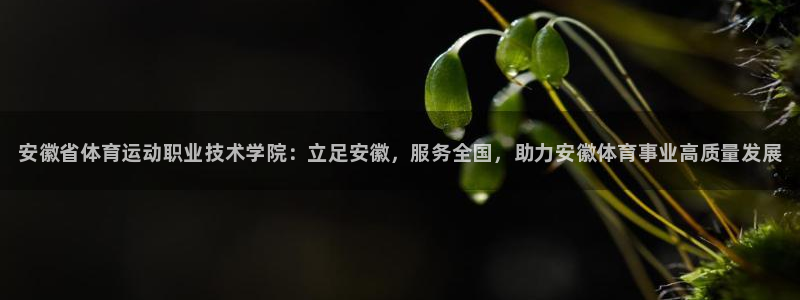 米兰体育官网下载软件：安徽省体育运动职业技术学院：立