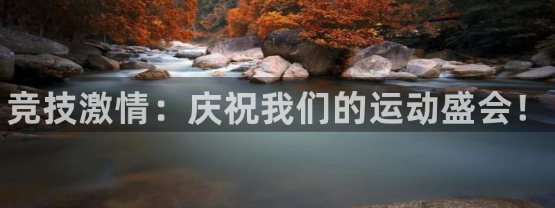 德国米兰体育官方正版app集团：竞技激情：庆祝我们的运动盛会
