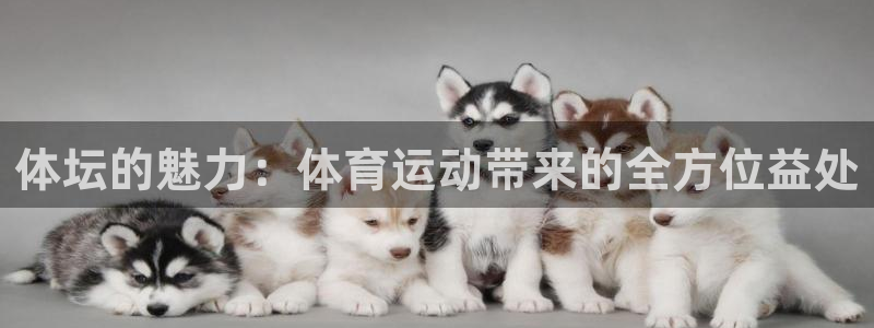 米兰体育官方正版app娱乐首页网站大全：体坛的魅力：