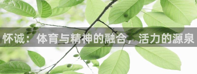 米兰体育官网下载平台注册要钱吗安全吗：怀诚：体育与精