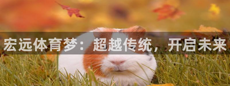 米兰体育官方正版app集团官网首页网址：宏远体育梦：超越传统