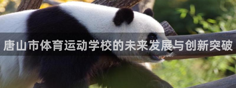 米兰体育官方正版app娱乐平台：唐山市体育运动学校的