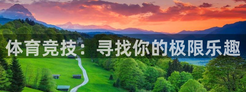 海南米兰体育官网下载：体育竞技：寻找你的极限乐趣