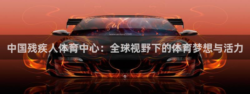 米兰体育官网下载招商：中国残疾人体育中心：全球视野下的体育梦