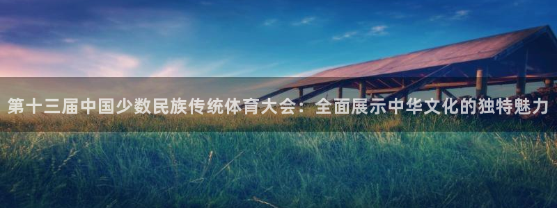 米兰体育官方正版app集团logo：第十三届中国少数